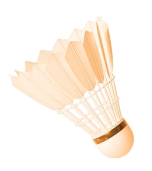 体育用品拓展出海新赛道（神州看点）