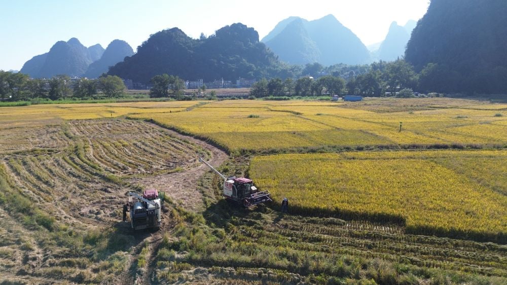四中全会精神解读·市场最前沿|驶向丘陵山区！国产农机焕新启程