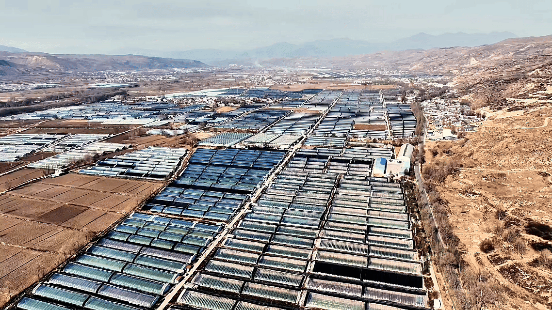 “高冷”经济看发展｜鲜行千里！高原冷凉蔬菜端上粤港澳餐桌