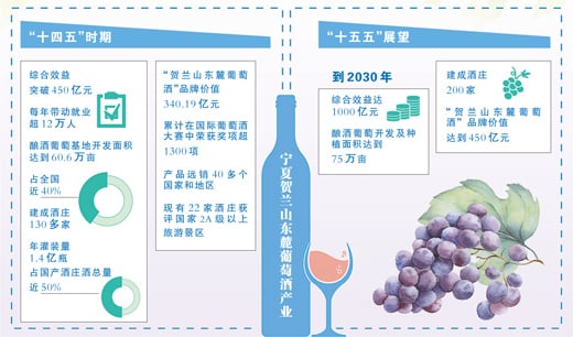 塞上江南递出“紫色名片”（三餐四季）