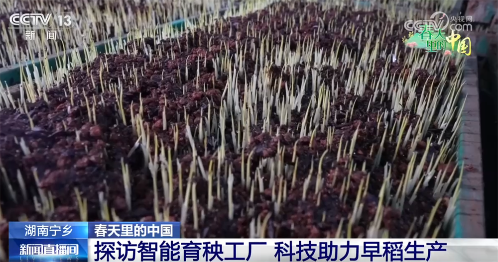 科技加持让春耕春管奏响“交响曲” 现代农业向新向优为好“丰”景筑牢根基