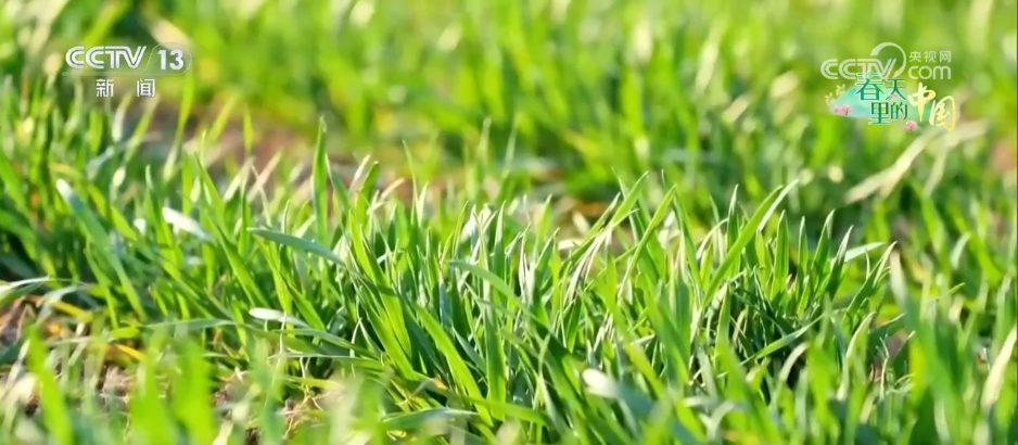 科技赋能唱“主角” 千里沃野奏响春耕春管 “奋进曲”