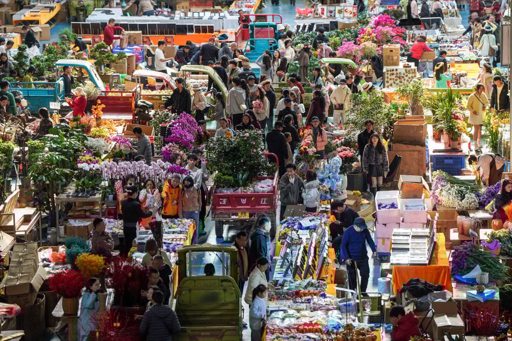 财经聚焦｜年宵花热销，鲜花消费何以“一路芬芳”