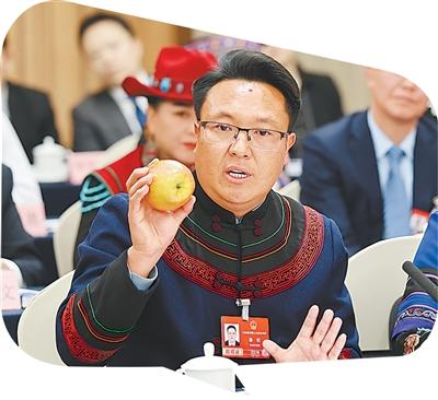 脚踏实地 久久为功（在代表团开放日上）