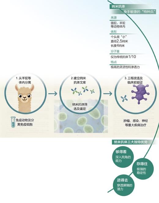 纳米抗体+AI，生物医药新革命（国际科技前沿）