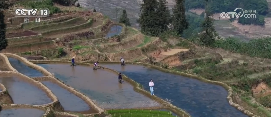 春耕新观察：千年遗产焕新生 绿水青山成为百姓致富“绿色银行”