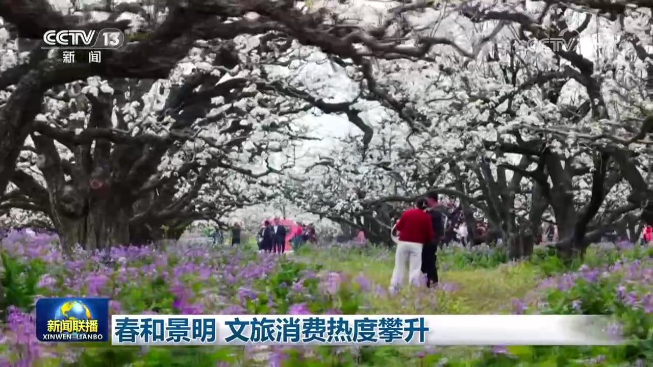 春和景明 文旅消费热度攀升