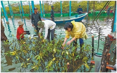 共守蔚蓝，构建海洋命运共同体（向海而行）