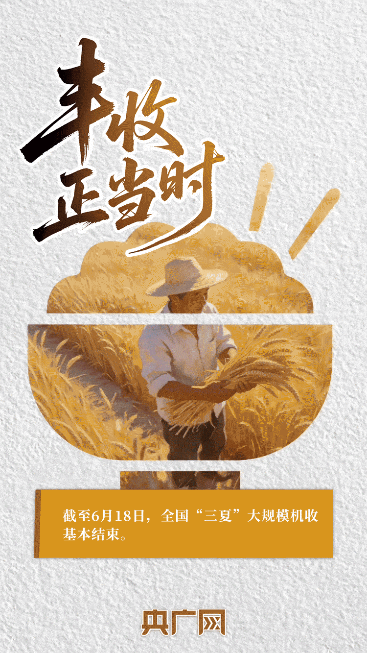 AI中国｜一抹金黄，尽绘夏收丰年！