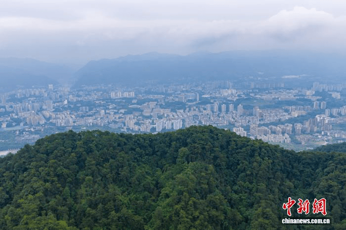 文章配图-1