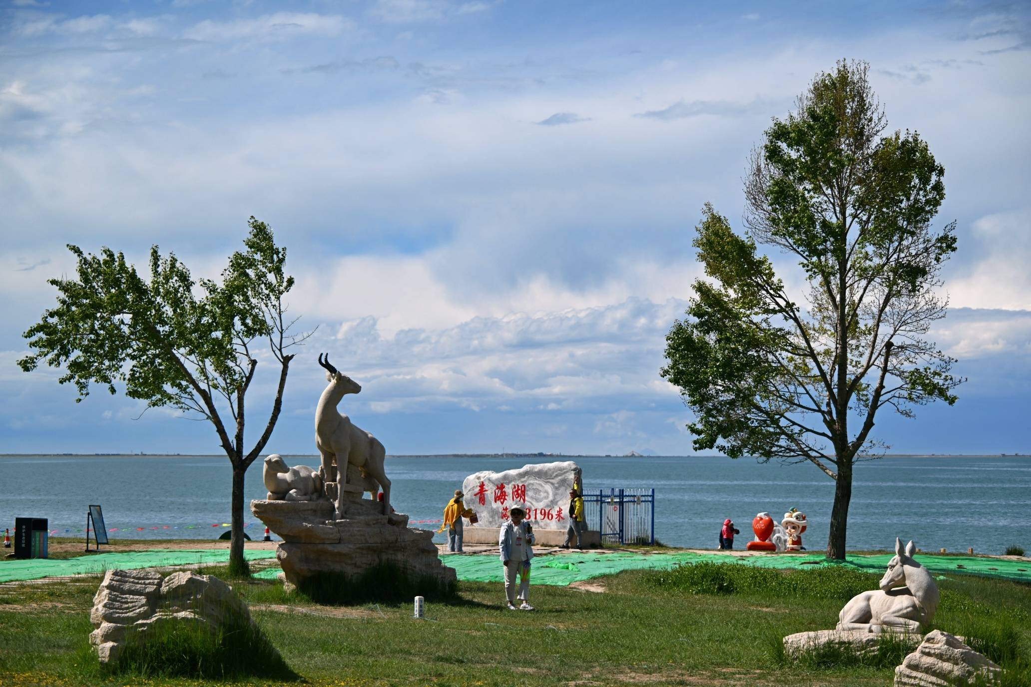 IMG_8564.jpg