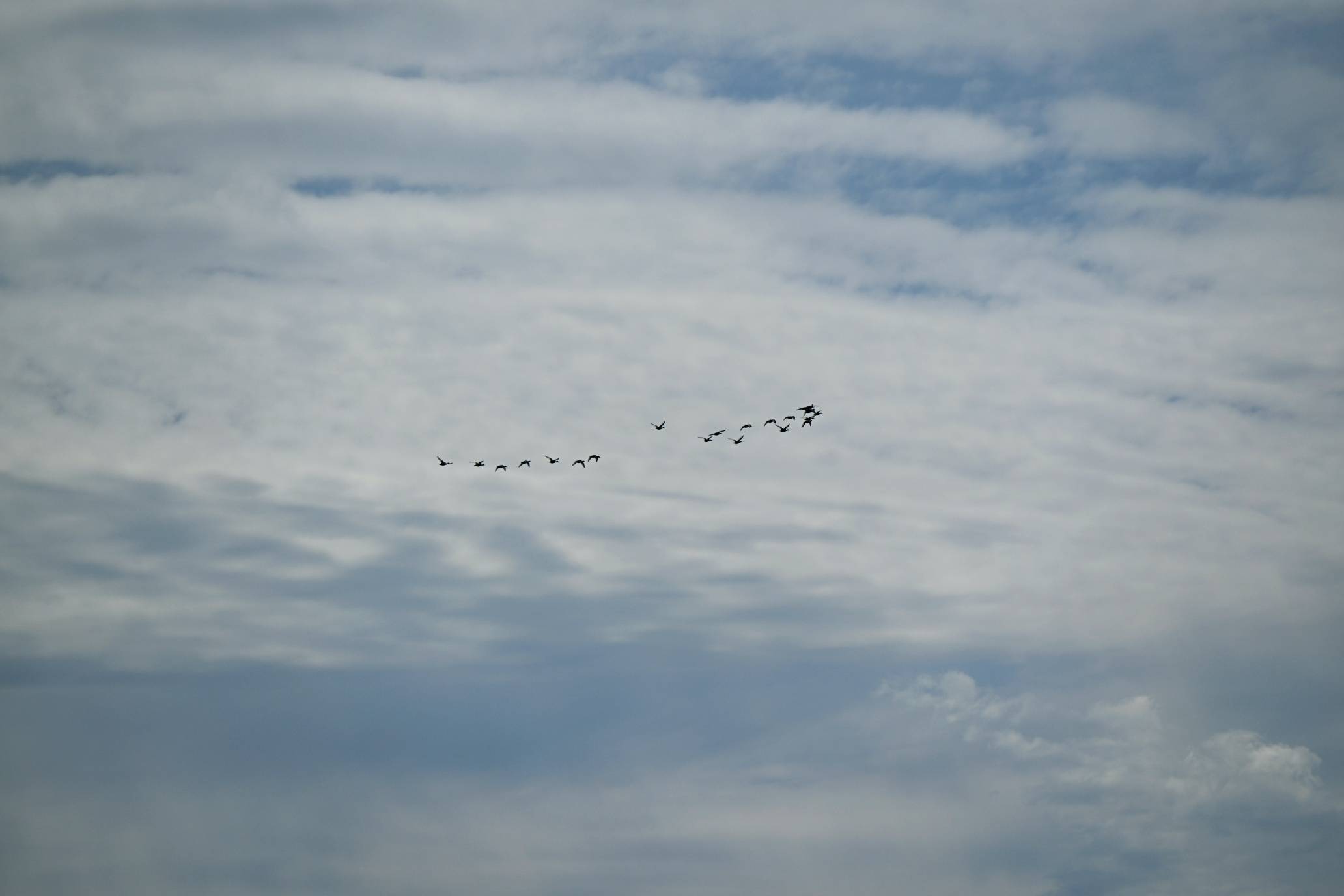 IMG_8437.jpg