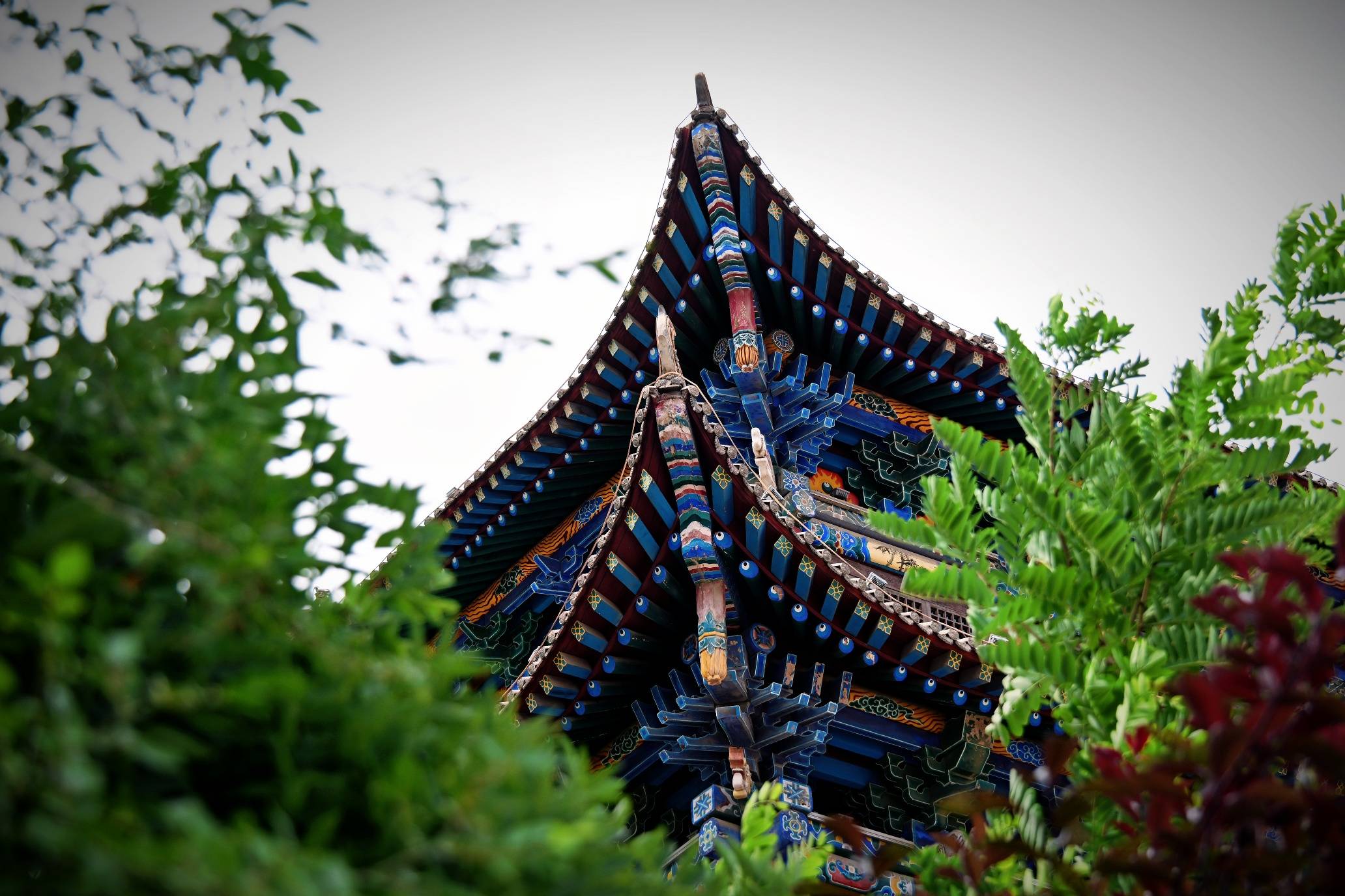 文章配图-1
