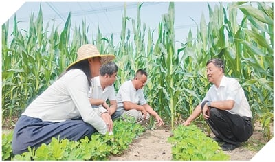 因地制宜 让新质生产力落地生根（高质量发展故事汇·第21期）