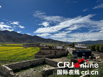 我们的家园 | 乡贤扎根乡土 共筑幸福家园