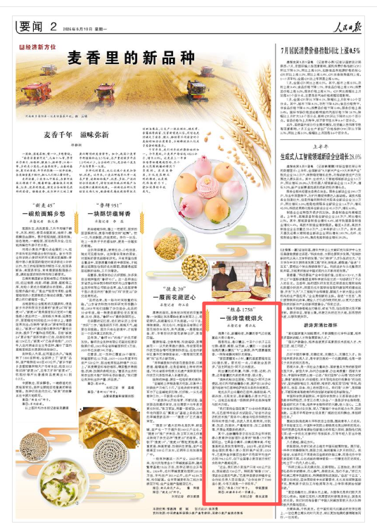 人民日报看新疆 | 哈密：一张烤馕载烟火