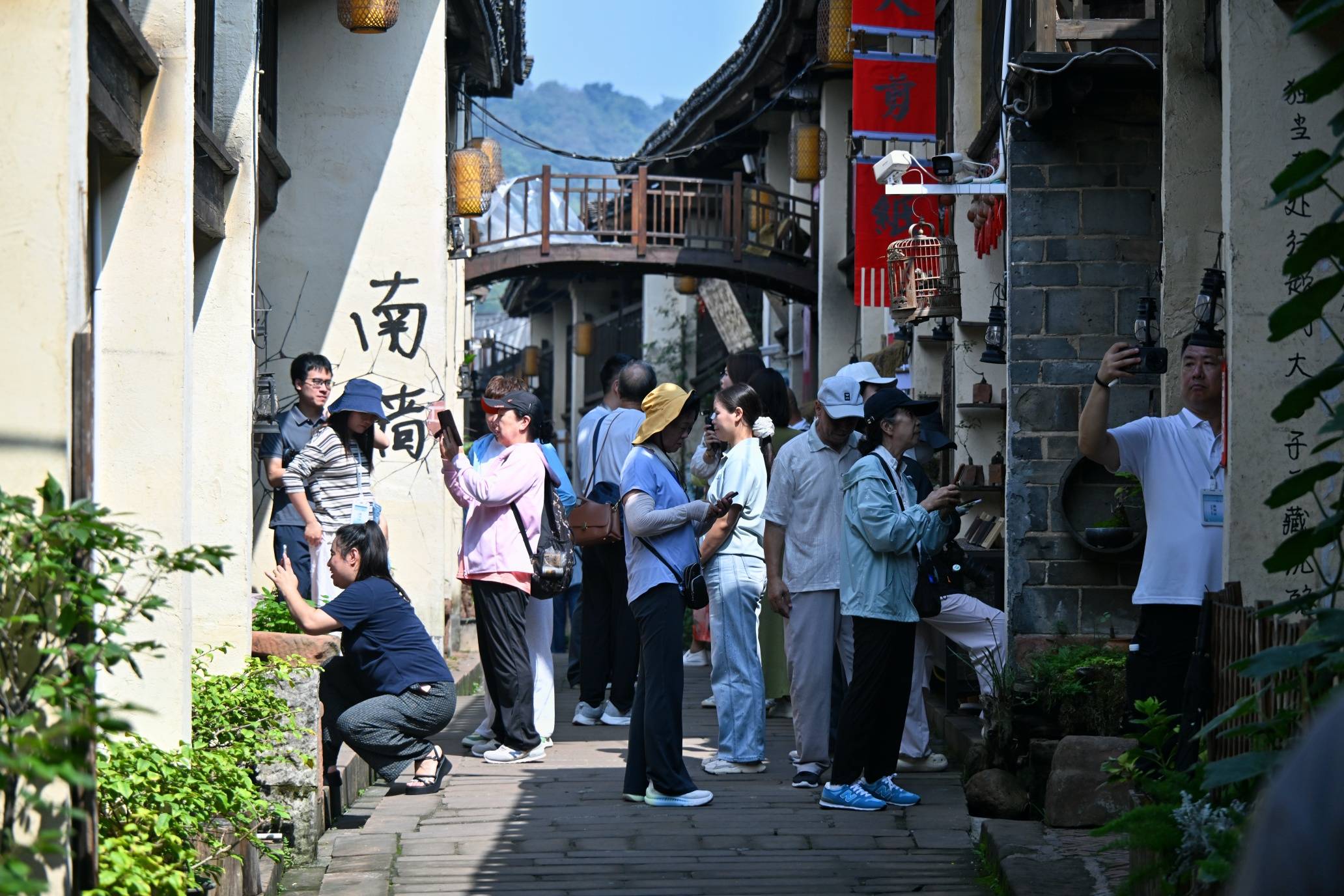 IMG_8008.jpg
